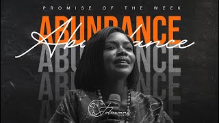 ABUNDANCE  PROMISE OF THE WEEK  PASTOR TOLUWANI [upl. by Helbona]