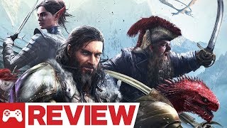 Divinity Original Sin 2 Definitive Edition Review [upl. by Bohun870]