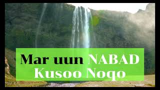 MAXAMED SALEEBAAN TUBEEC  HEESTA MUXUBO SOMALI MUSIC 2024 [upl. by Axel929]