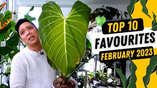 Top 10 Favourite Plants 💚 February 2023 🤩 Philodendron Anthurium Hoya Monstera [upl. by Aiht]