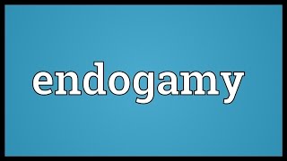 Endogamy Meaning [upl. by Haelam307]