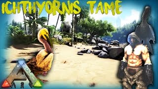 ARK THE ISLAND  ICHTHYORNIS TAME AND REVIEW OFFICIAL SERVER GAMEPLAY [upl. by Federico]