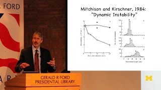 David Odde  Microtubule SelfAssembly [upl. by Mose626]