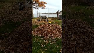 Cayne and His Sister Jumping Into a Big Pile of Leaves [upl. by Ainatnas]