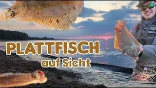 Fliegenfischen gezielt auf Plattfisch an der Ostsee [upl. by Baker]