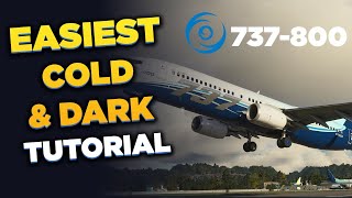 PMDG 737800 Cold amp Dark to Engine Start Tutorial  MSFS [upl. by Nedrob]