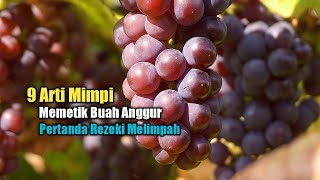 9 Arti Mimpi Memetik Buah Anggur Pertanda Rezeki Melimpah [upl. by Ragen634]