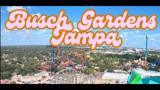 Busch Gardens Tampa 111024 buschgardens [upl. by Tebazile]