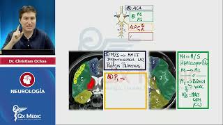 NEUROLOGÍA Esquemas de repaso Qx Medic 2023 [upl. by Alcina]