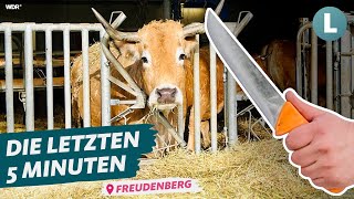 Schlachten direkt am Hof Das Schlachtmobil  WDR Lokalzeit LandSchafft [upl. by Etteniotnna]