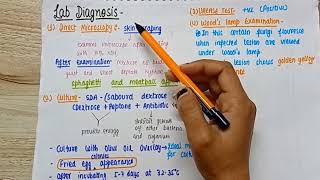 Superficial Mycosis dermatophyte mycology  types of superficial mycosis lab diagnosis [upl. by Gayner]