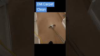 Carpet cleaning that delivers results fast 💪 CarpetDeepClean [upl. by Hedgcock577]