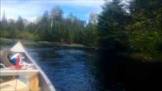 Whiteface Reservoir  Bum Creek Tributary June 3 2013 [upl. by Nosnehpets]