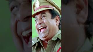 వేణు తో ఆడుకున్న బ్రహ్మి 😂  Brahmanandam  Ramachari Movie  Venu Thottempudi  YouTubeShorts [upl. by Orelie826]