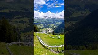 Longest Toboggan Zipline In Churwalden Switzerland 🇨🇭 follow for more daily shorts 🇨🇭 [upl. by Aifas]