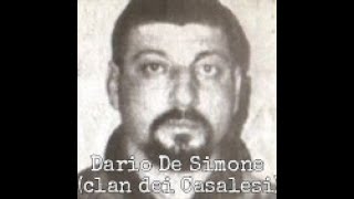 Processo a Nicola Cosentino parte 1 Dario De Simone [upl. by Reames]