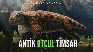 OTÇUL TİMSAH Simosuchus [upl. by Andreana692]