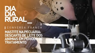 Mastite na pecuária descarte de leite dos animais em período de tratamento [upl. by Octavia]