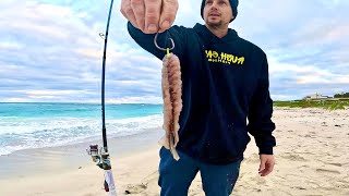 Beach Fishing with a Dingle Dangle Rig [upl. by Anoo]