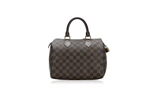 Louis Vuitton Damier Ebene Speedy 25 [upl. by Aurita36]