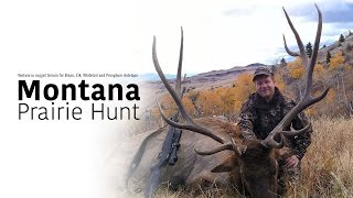 MONTANA PRAIRIE HUNT [upl. by Hobard]