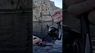 Jigging en Inverno 🥶🐟 fishing pesca mallorca jigging [upl. by Ruel]