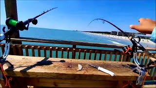 Pompano and Whiting Action  Springmaid Pier Livestream Highlights [upl. by Valli]