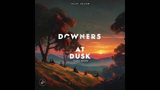 DOWNERS AT DUSK  SLOWED AND REVERBED  TALHA ANJUM  SONG FUSION [upl. by Lissi718]