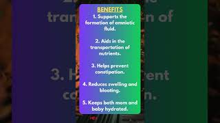 Benefits of Drinking Water During Pregnancy [upl. by Heather]