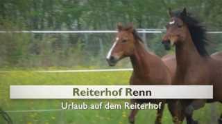 Reiten in Rheinland Pfalz Ferienwohnung Limburg an der Lahn Reiterhof Renn [upl. by An]