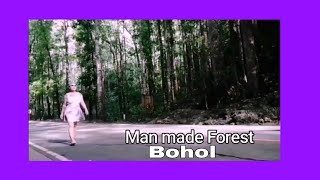 Man Made Forest Bohol [upl. by Huff]