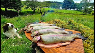 SECRETS OF WILD CUISINE Catch Trout with HANDS and Cook in the Wilderness  ASMR Relaxing [upl. by Adeline]