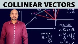 Collinear and NonCollinear Vectors Grade 11 and 12 NEB In Nepali  By RRT Sir [upl. by Vedi]