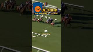 🔵🟠LAKE VICTORIA Is too good in The Breeders Cup [upl. by Karilynn228]