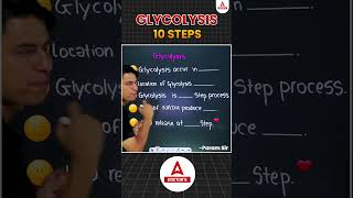 Glycolysis Explained  The Energy Powerhouse of Cells shorts glycolysis cellenergy glucose ATP [upl. by Jeroma]