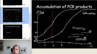 1B quantitative PCR introduction B [upl. by Crespi]