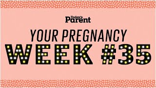 Your pregnancy 35 weeks [upl. by Lanny]