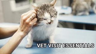 Vet Visit Essentials Ensuring Your Cats Health [upl. by Tecil]