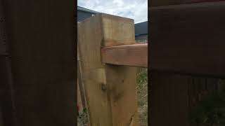 Notched Fence Top solid [upl. by Lianne907]