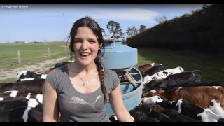 Farming in New Zealand [upl. by Kolb830]