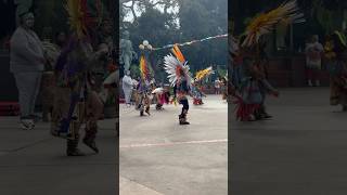 Danzantes en la Plazita olvera [upl. by Mella]