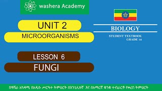 BIOLOGY GRADE 12 UNIT 2 LESSON 6 FUNGI [upl. by Leugar624]