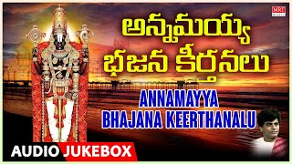 Annamayya Bhajana Keerthanalu  Vedavyasa Ananda Bhattar Shobha Raju  Telugu Bhakthi Geethalu [upl. by Donaldson156]