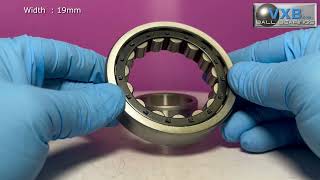 NJ209 Bearing Cylindrical Roller Bearings 45x85x19mm [upl. by Naenej263]