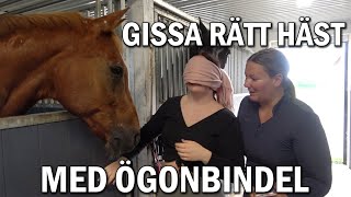 Blindfolded gissa rätt häst challenge På TID [upl. by Kwasi]