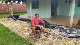 NÃO PASSE HERBCIDA EM SEU GRAMADO ANTES DE VER ESTE VÍDEO SítioGilSat [upl. by Dexter]