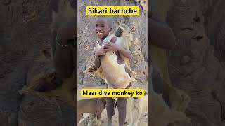 Africa kabhi mat jana warna african adivasi shorts monkey birds youtubeshorts budgies parrot [upl. by Pegg]