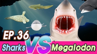 EN Megalodon is hunting sharks Zebra hammerhead Saw great white collecta cocostoy [upl. by Lara]