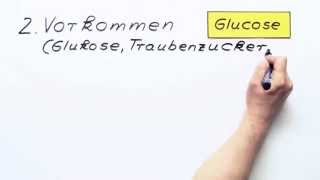 Glucose und Fructose  Chemie  Organische Chemie [upl. by Sset]