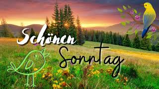 🌻🌼 Sonntag ☕🍰 Ich wünsche dir einen schönen Sonntag [upl. by Leotie]